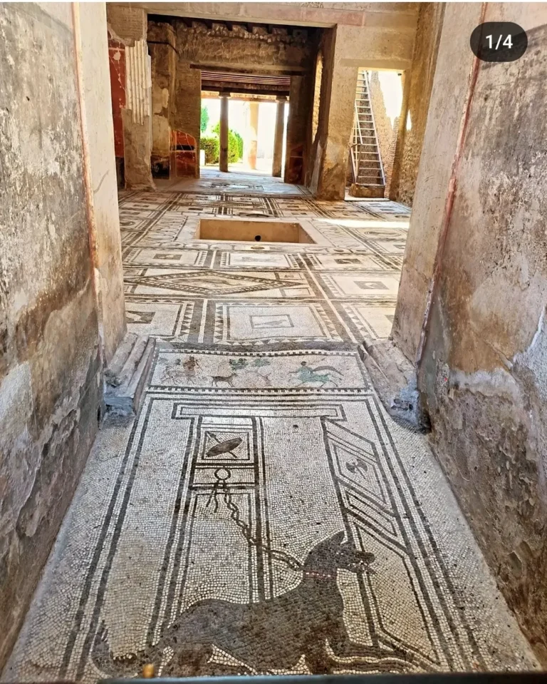 Intricate mosaic flooring in a Roman villa in Pompeii