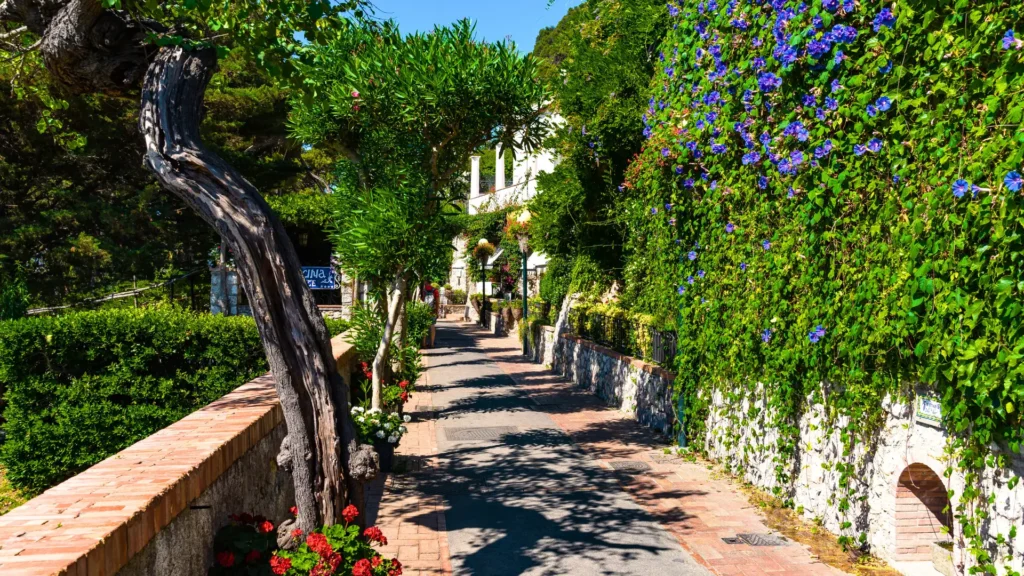 The Gardens of Augustus in Capri, featuring lush greenery and a stunning view of the Faraglioni